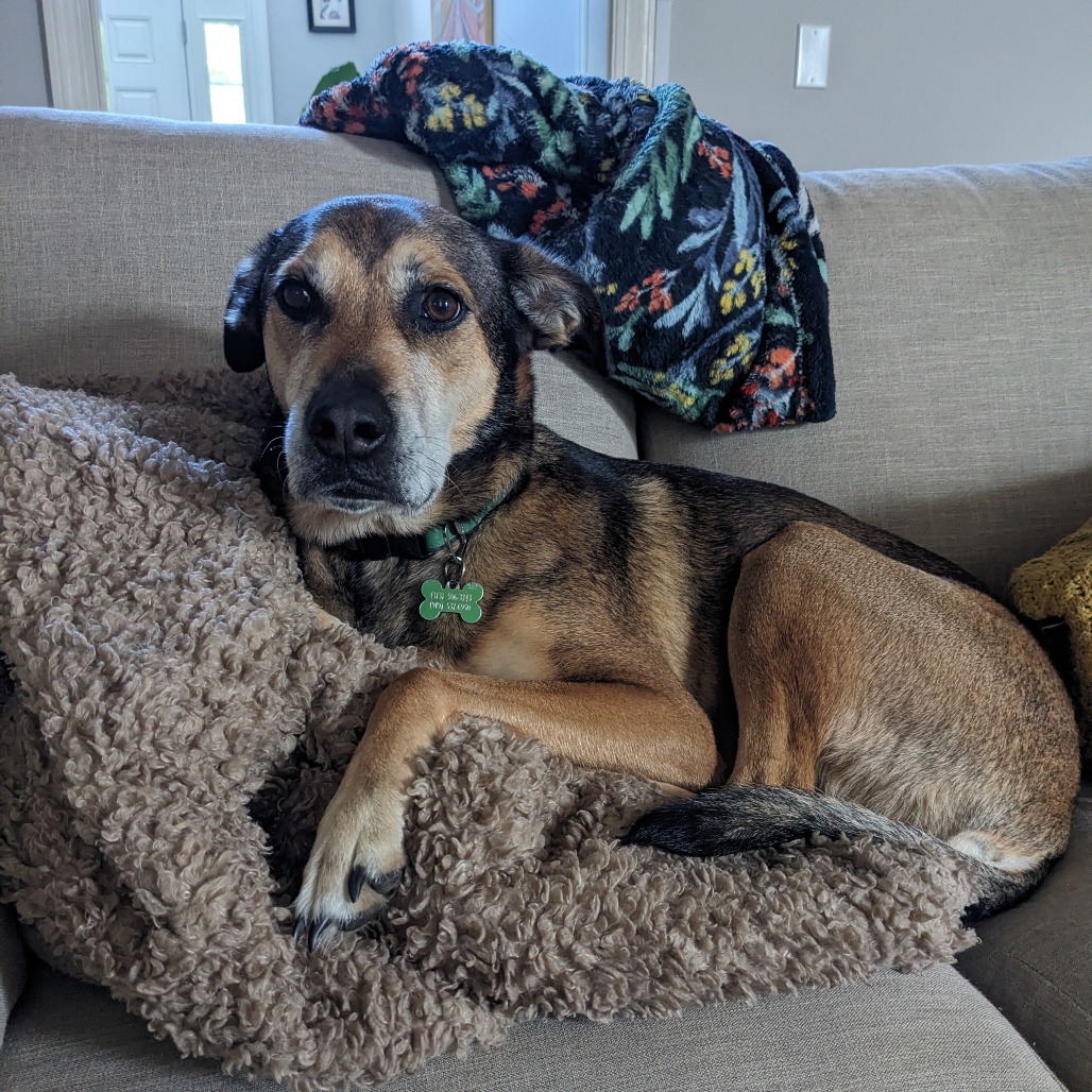 Lana (Courtesy Posting) — thumbnail 4