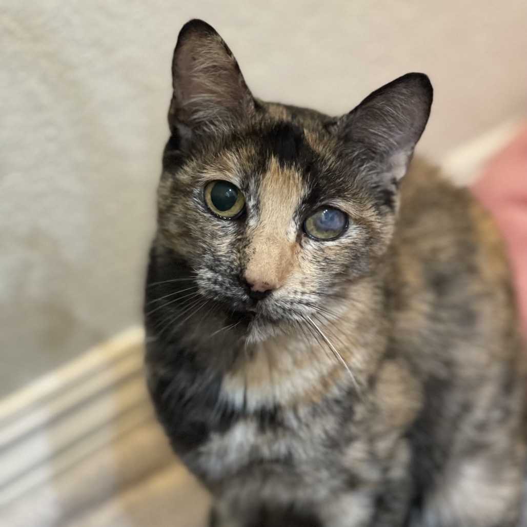 Miss Miggles