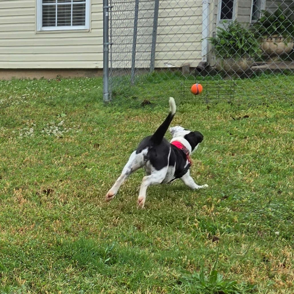 Lotty photo 7