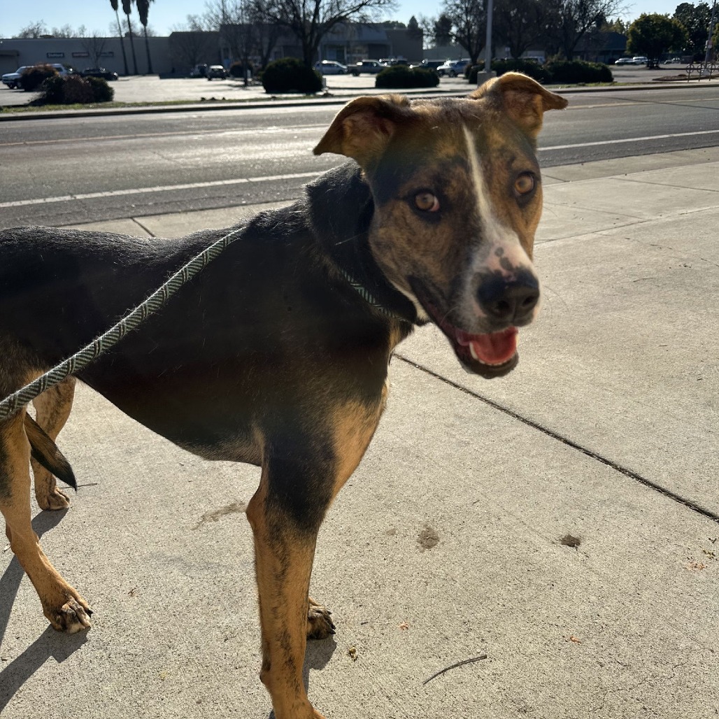 Marley — thumbnail 3