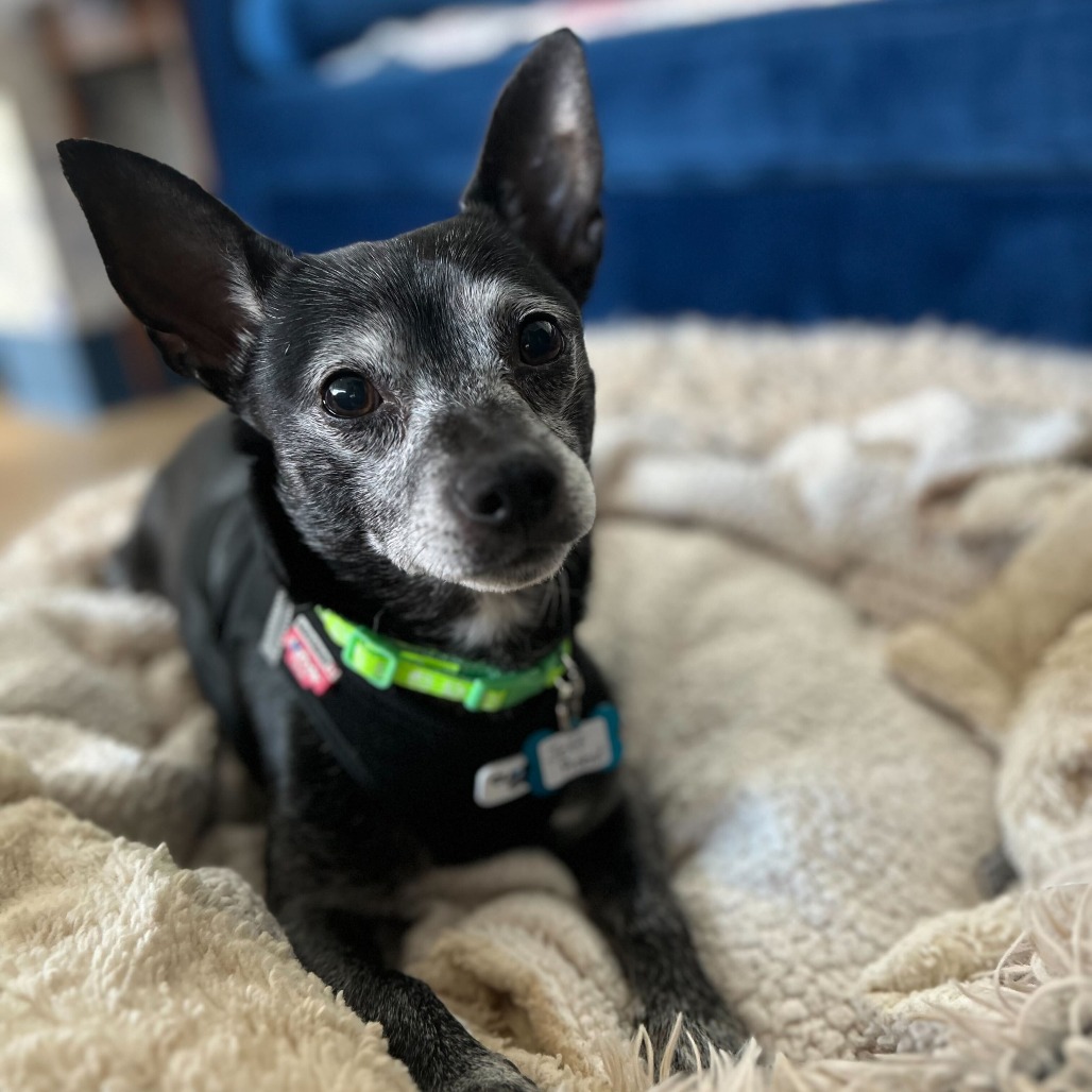 Jeff Probst 13377 — thumbnail 2