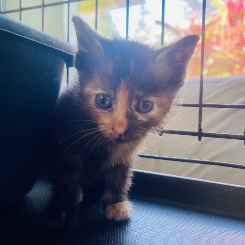 Dorothy photo