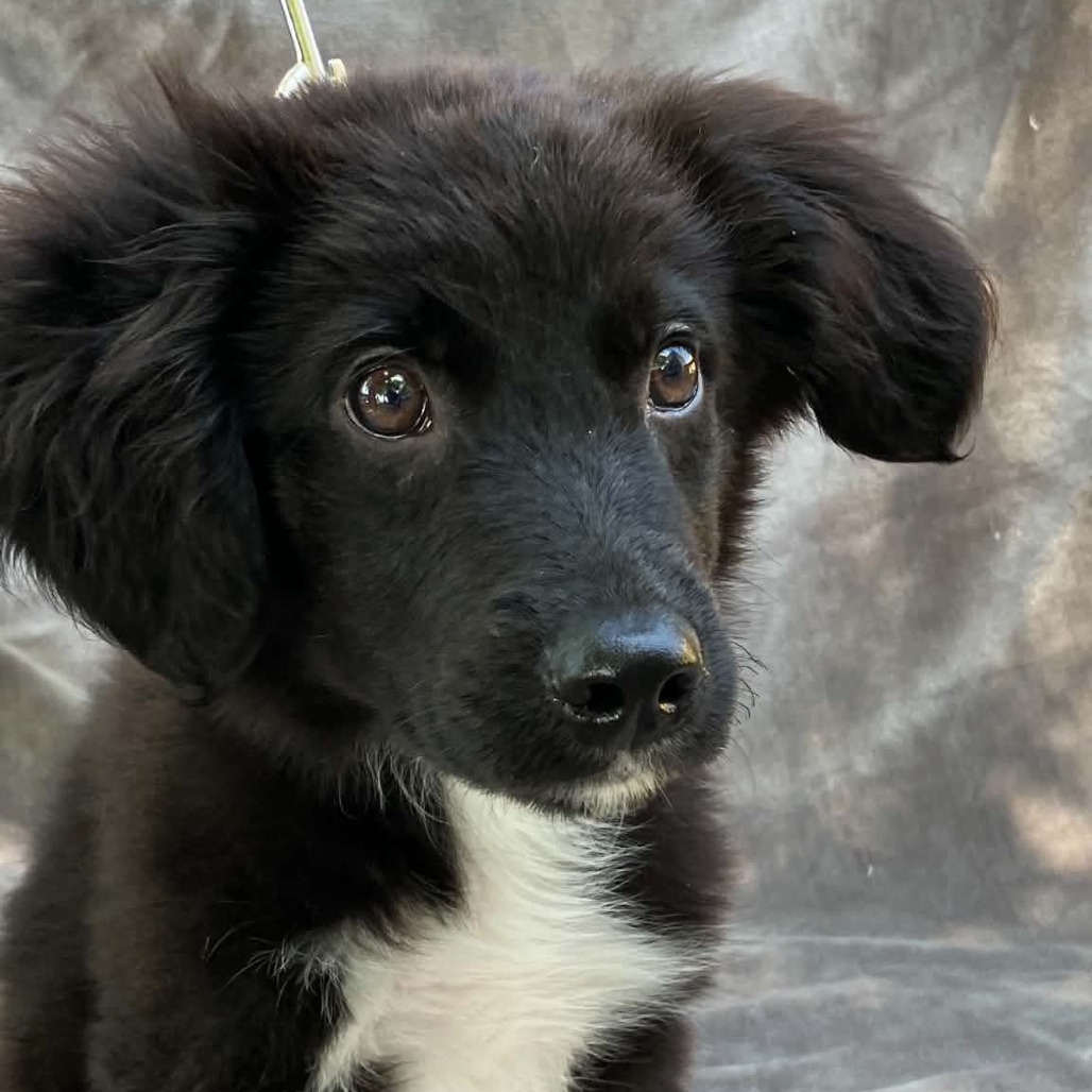 CT Max avail May 14