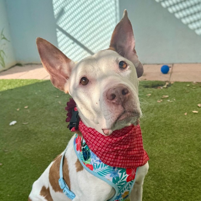 Image of Faith looking at the camera