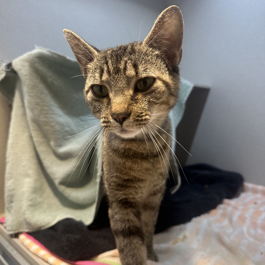 Photo of Penelope 3