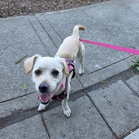 Animal namedLuna