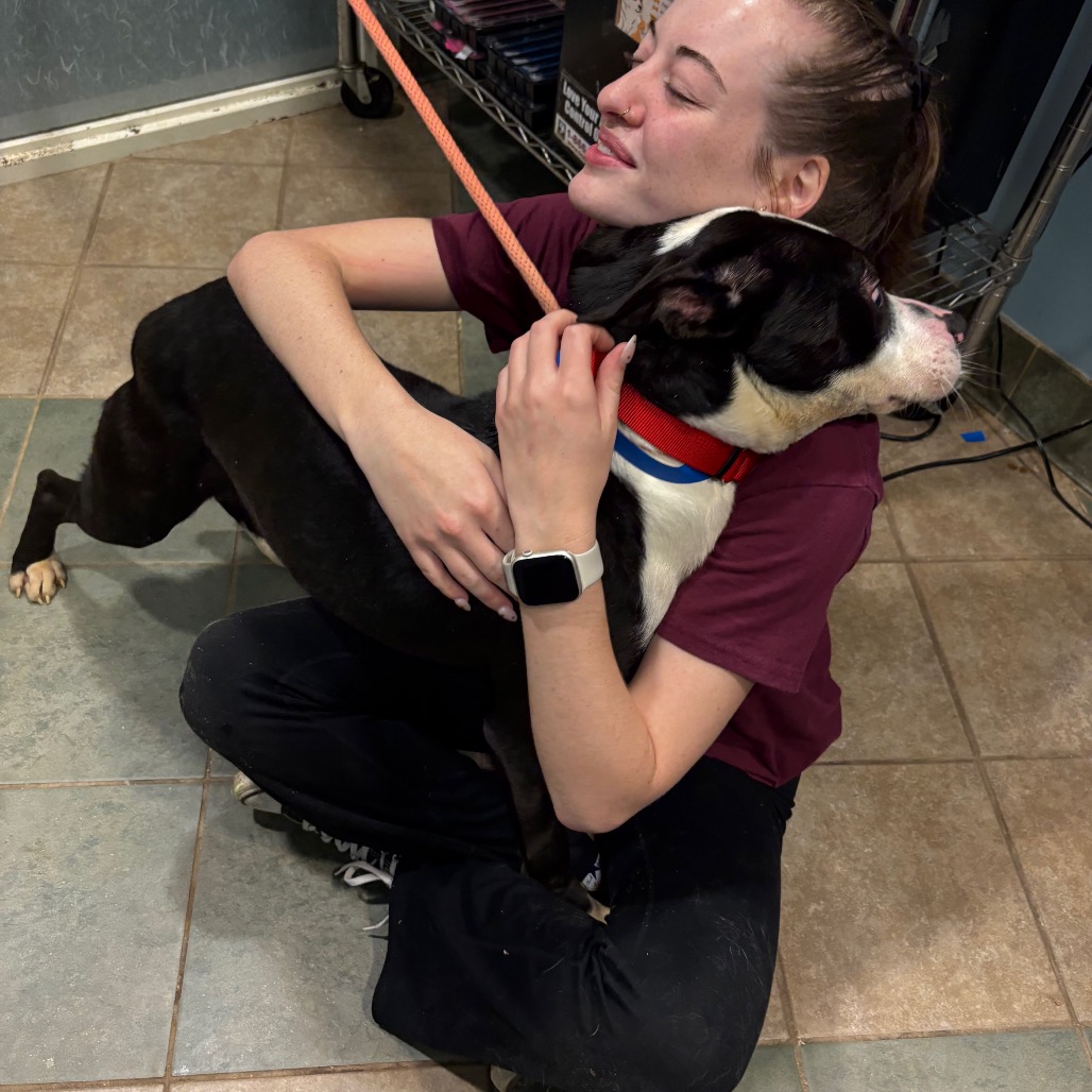 Mudpie — thumbnail 7