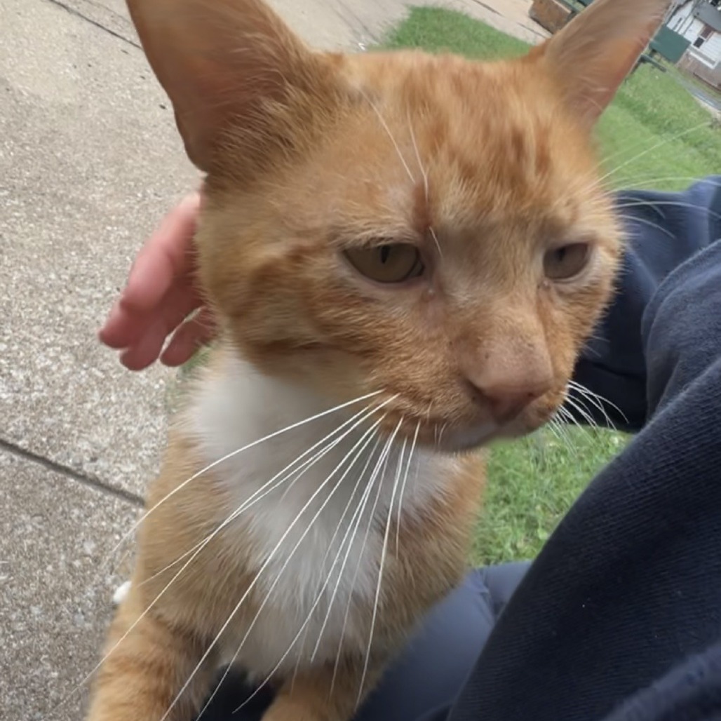 Chester