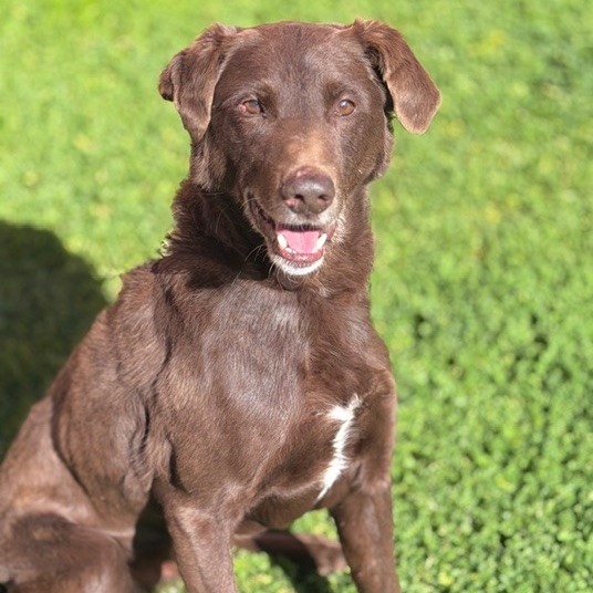 Kennel#11(Tuff)'s preview photo