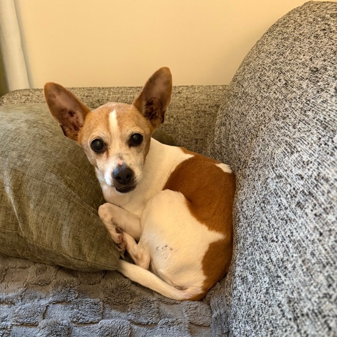 Gary — thumbnail 5