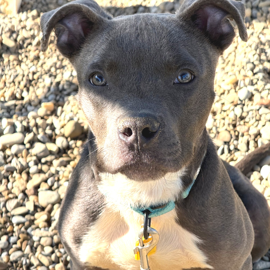 Sawyer, photo 8