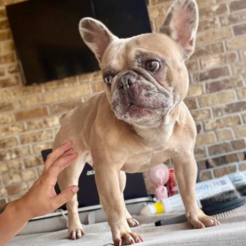 Photo of Luna