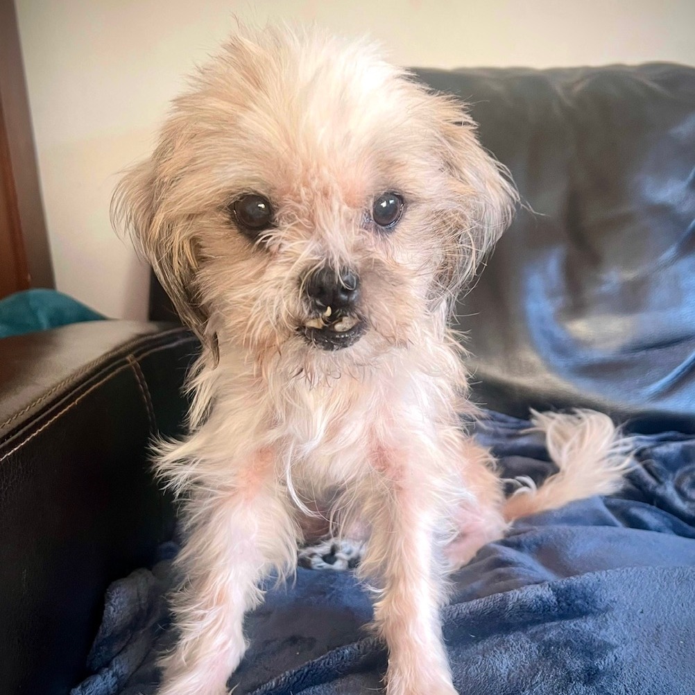 Anna Banana Bonded With Geno