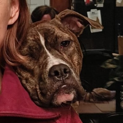 Kashka — thumbnail 5