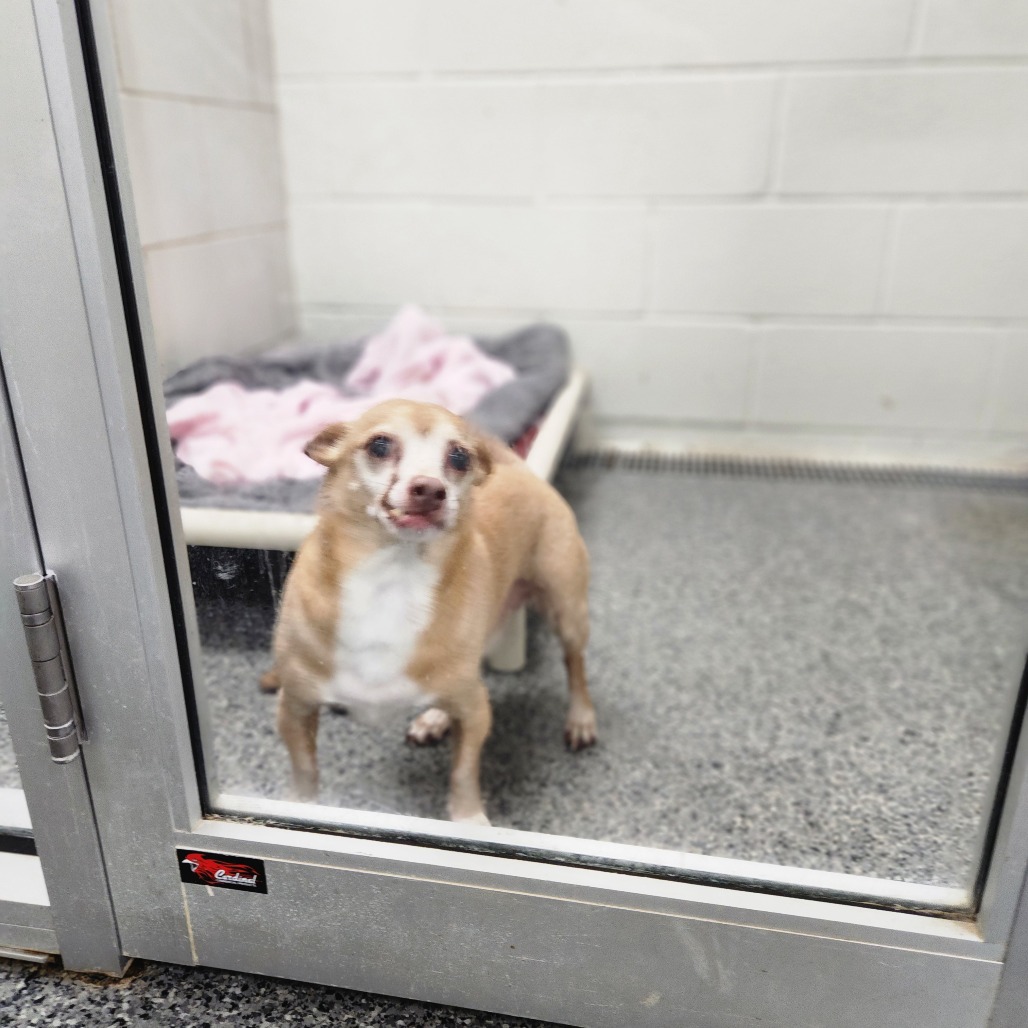 Maximilian-Foster — thumbnail 2