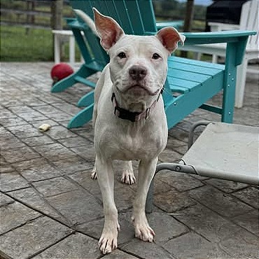 Photo of Penelope"Pinky"