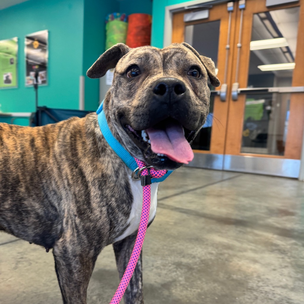 Photo of Baby Stripes 3