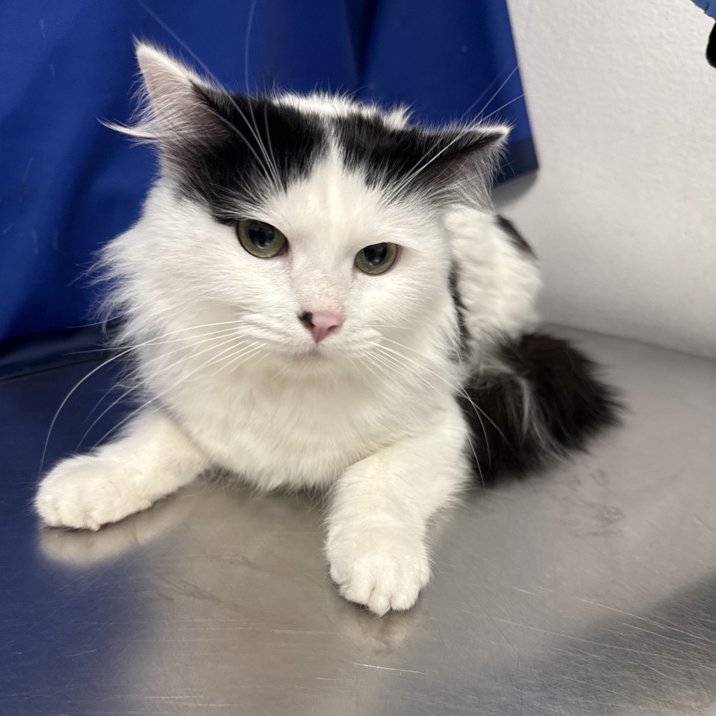 Dora Winifred (D.W.) — thumbnail 2