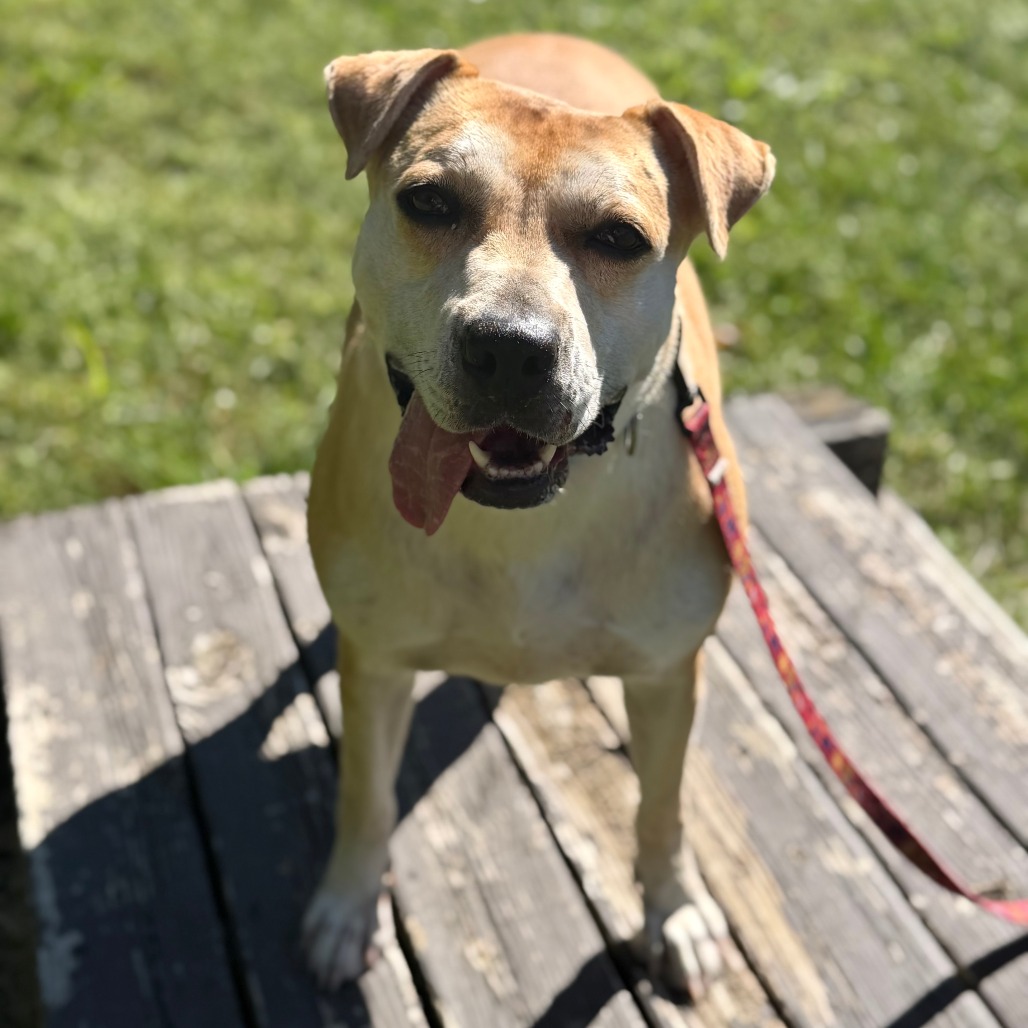 Remi