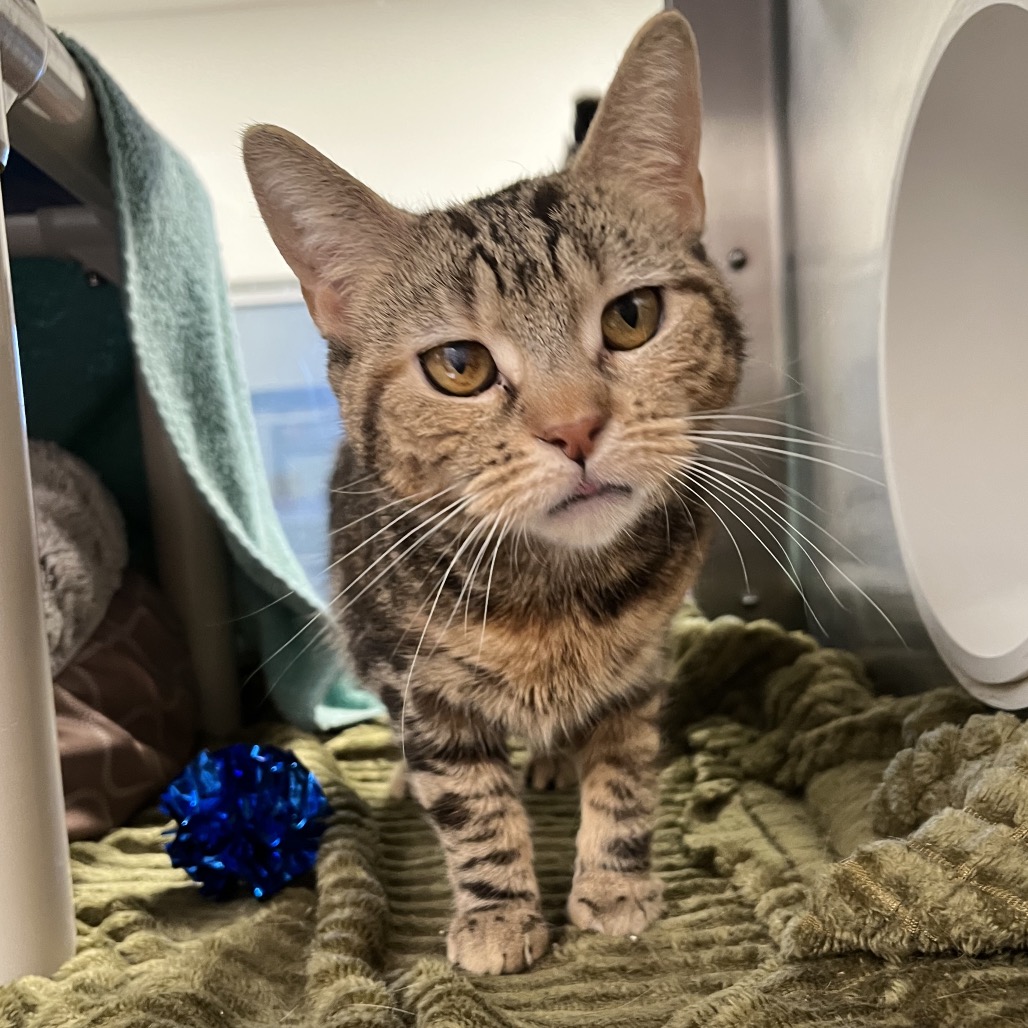 967b2eb1a1886db43e68b4129b0308eb