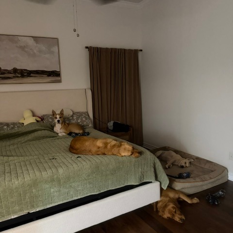 Max photo 10