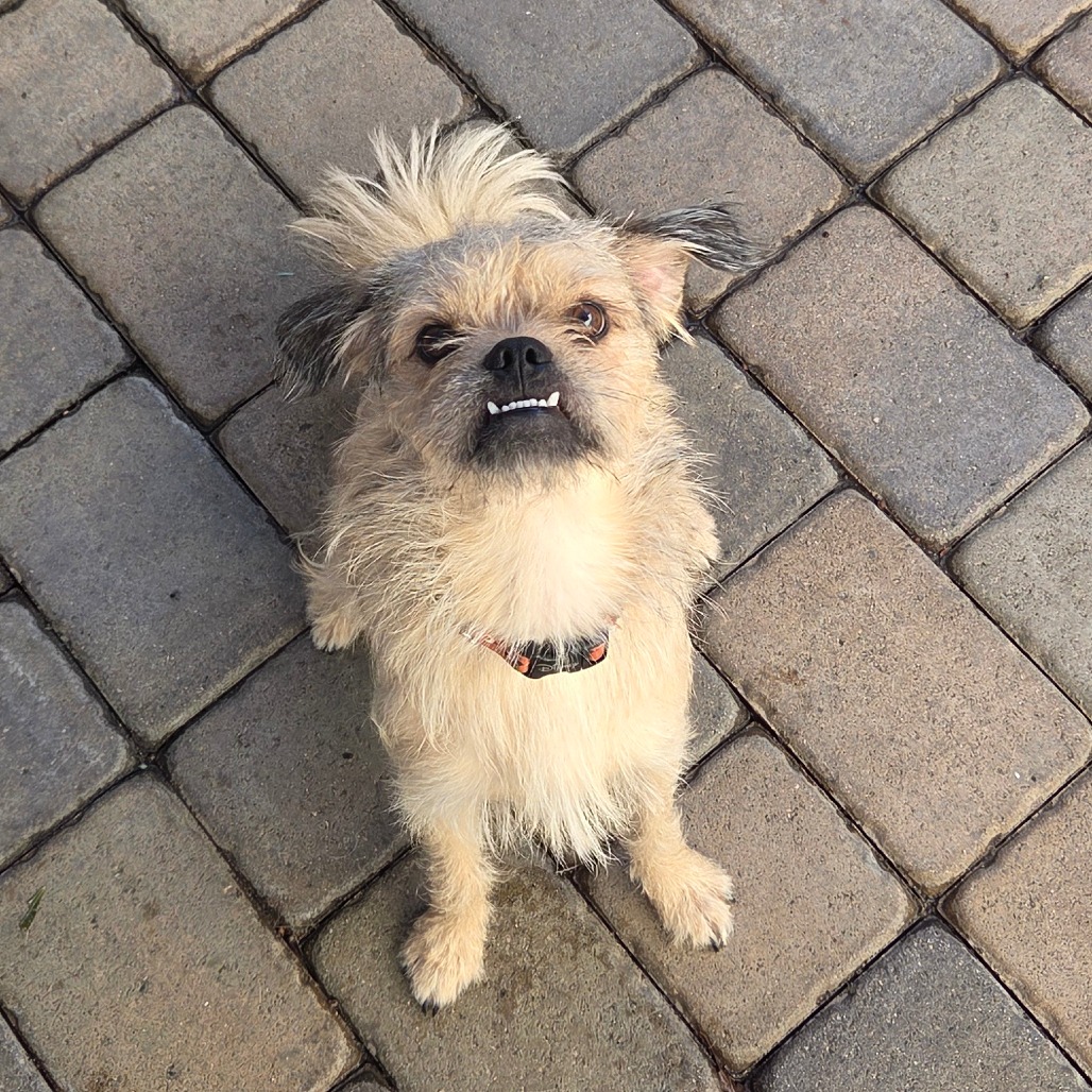 Albite — thumbnail 2