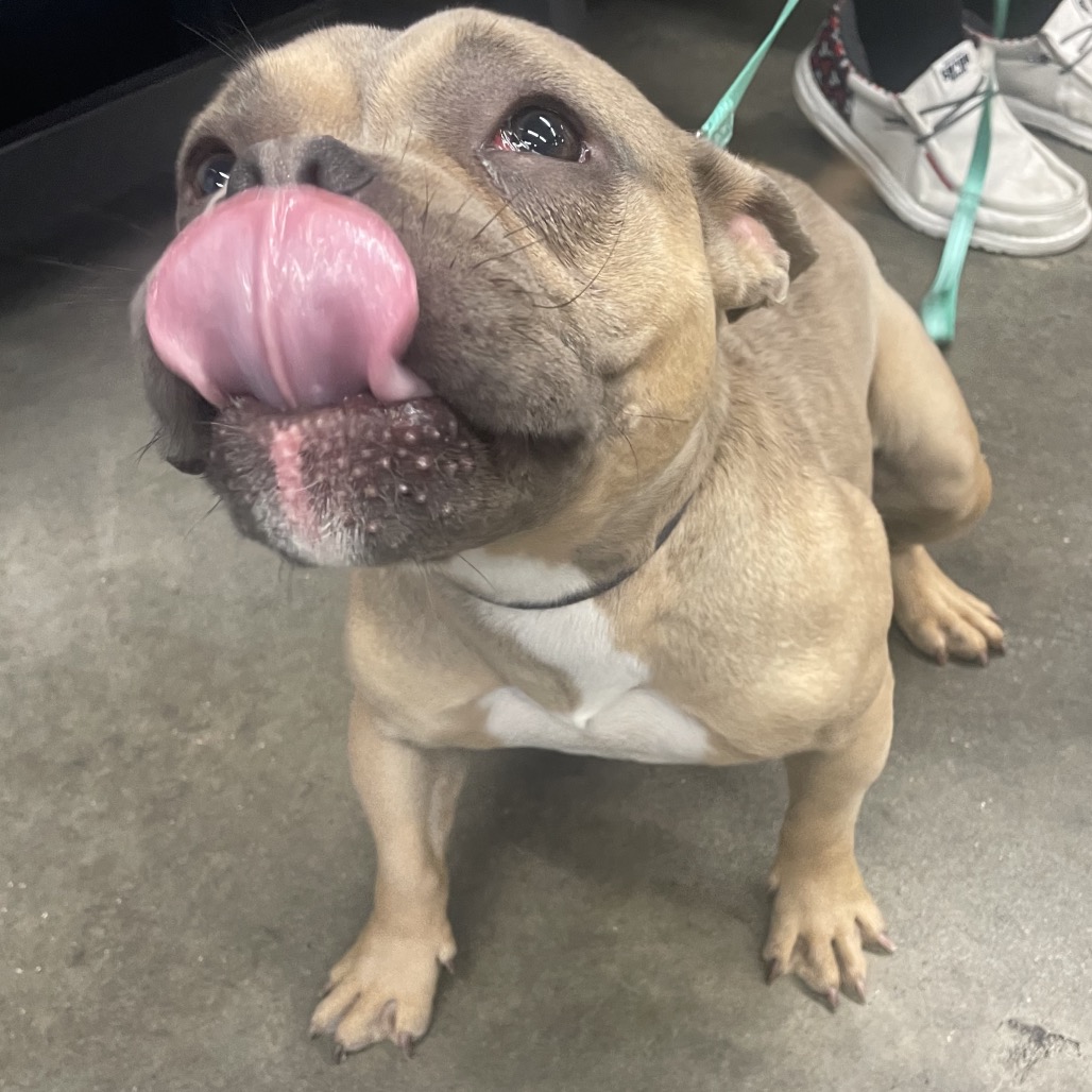 Chyna — thumbnail 2