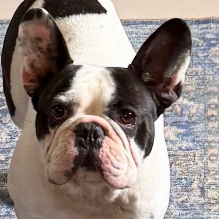 Barkthalomew