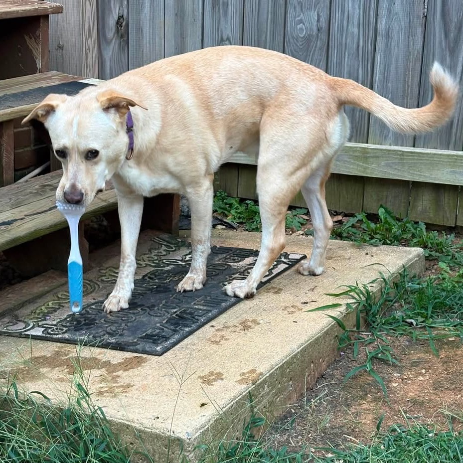 Butter, photo 29