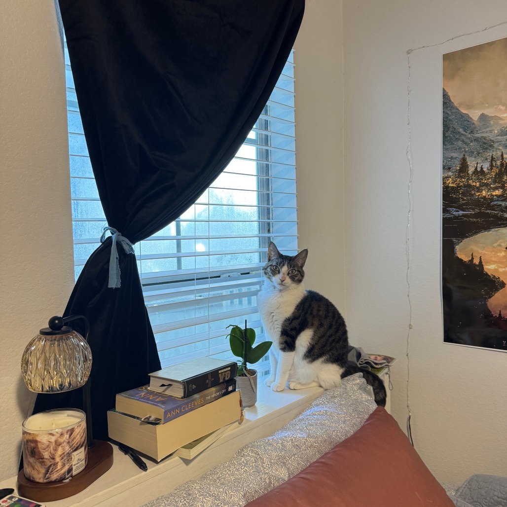 Tuna, photo 4