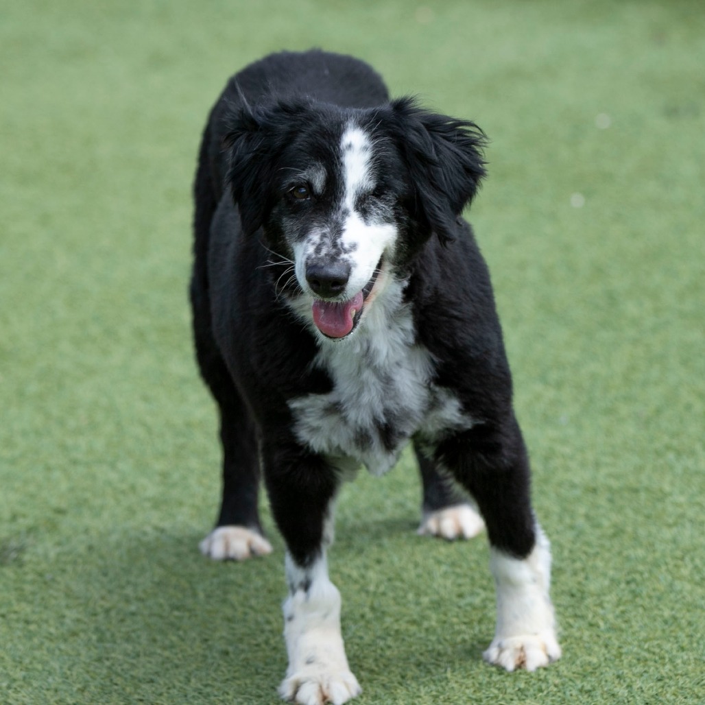 Skittles (MR26-329), photo 9