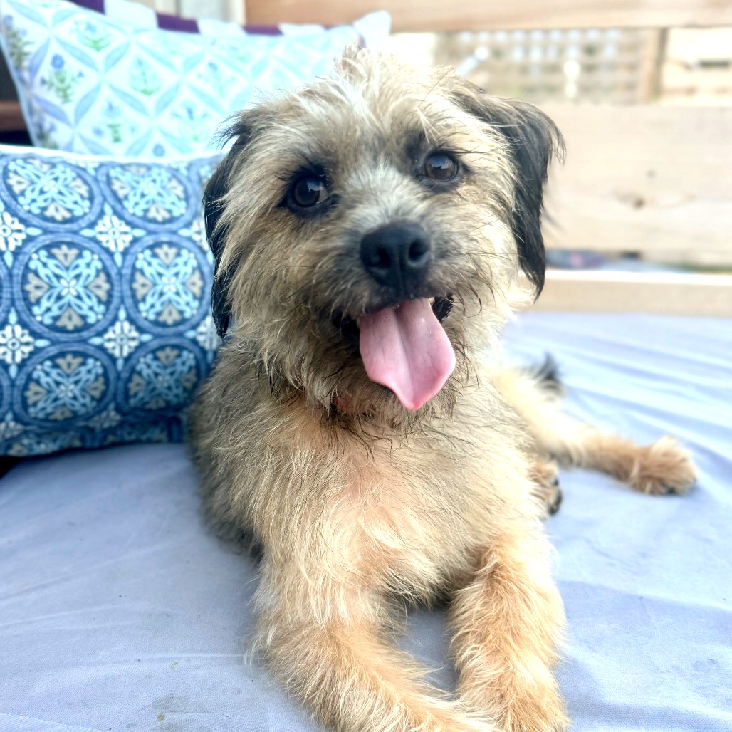 Benji