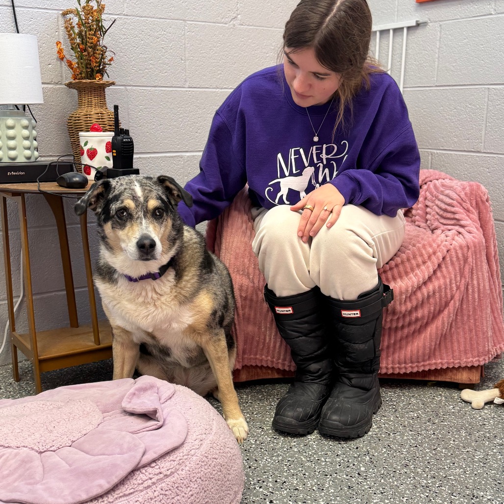 Daisy — thumbnail 4