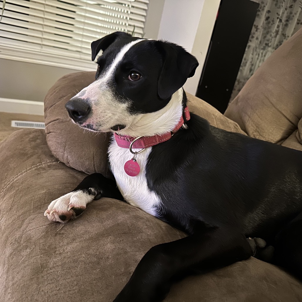 Esther