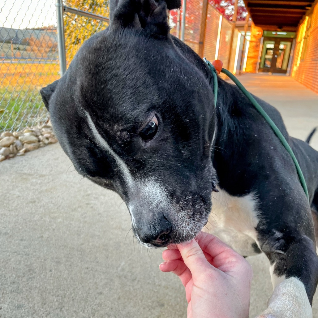 Sebastian — thumbnail 4