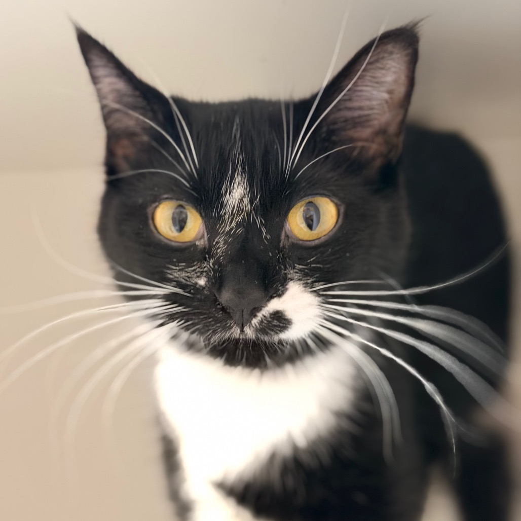 Venus — thumbnail 2