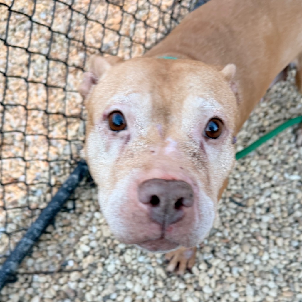 Sandy — thumbnail 5