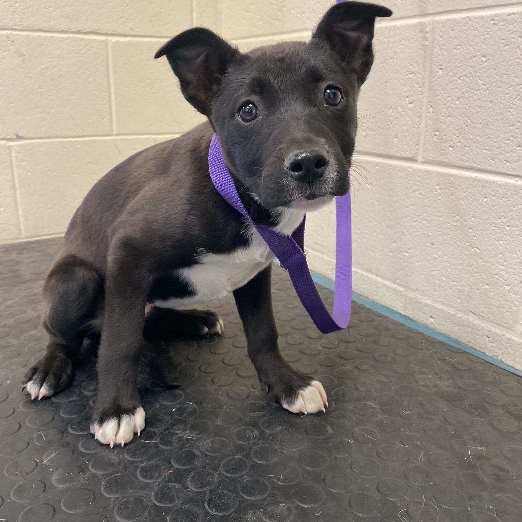 Soul — thumbnail 2