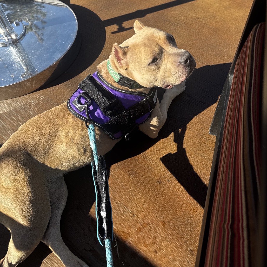 Bubbles — thumbnail 4