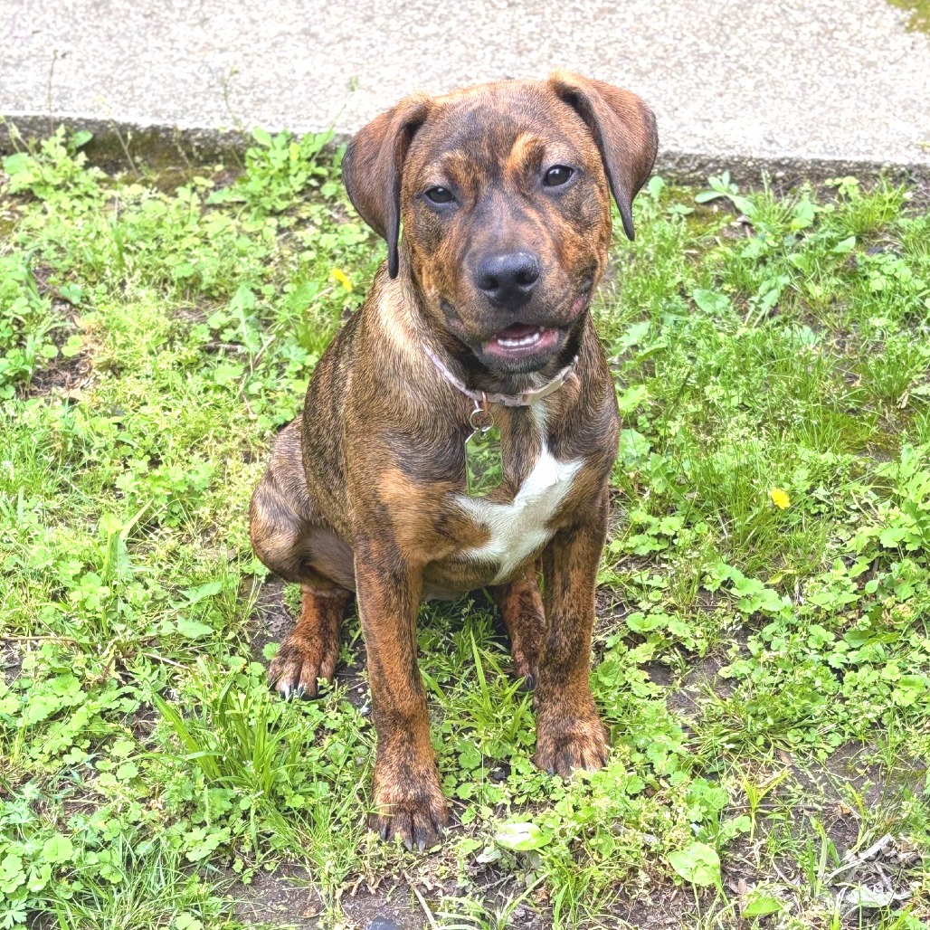 Penelope — thumbnail 9