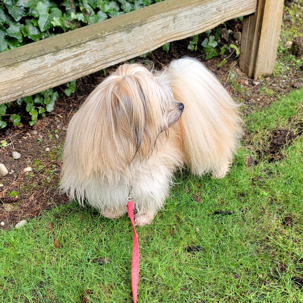 Jack — thumbnail 5