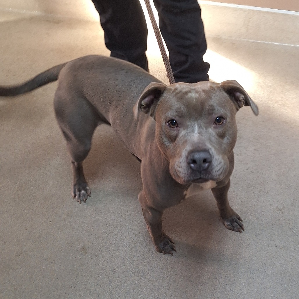 Kennel#28 Freya's preview photo