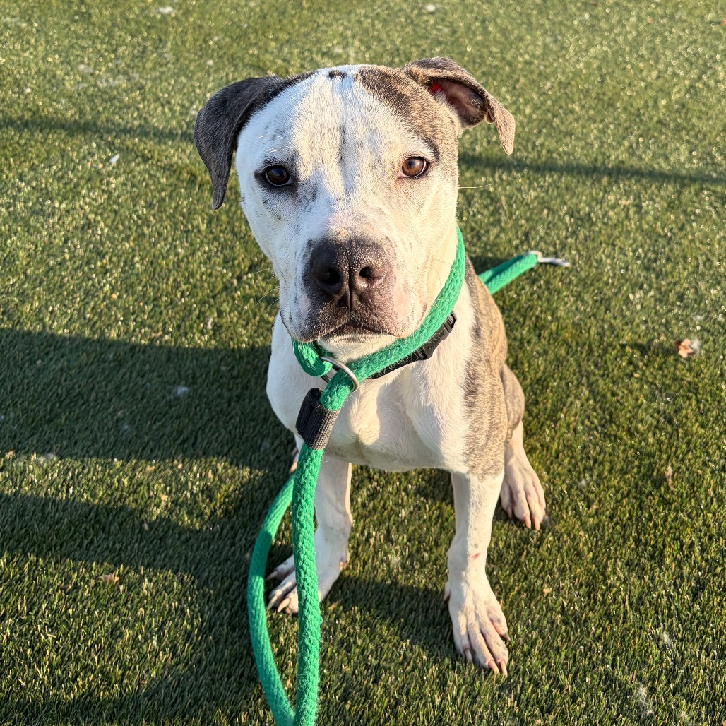 Stacks — thumbnail 2