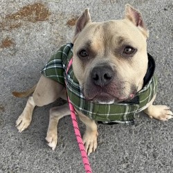 Bubbles — thumbnail 5