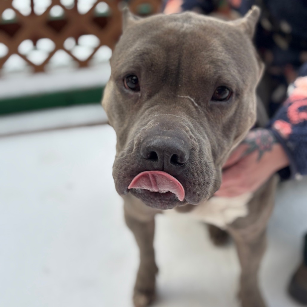 Fantine 2 — thumbnail 10