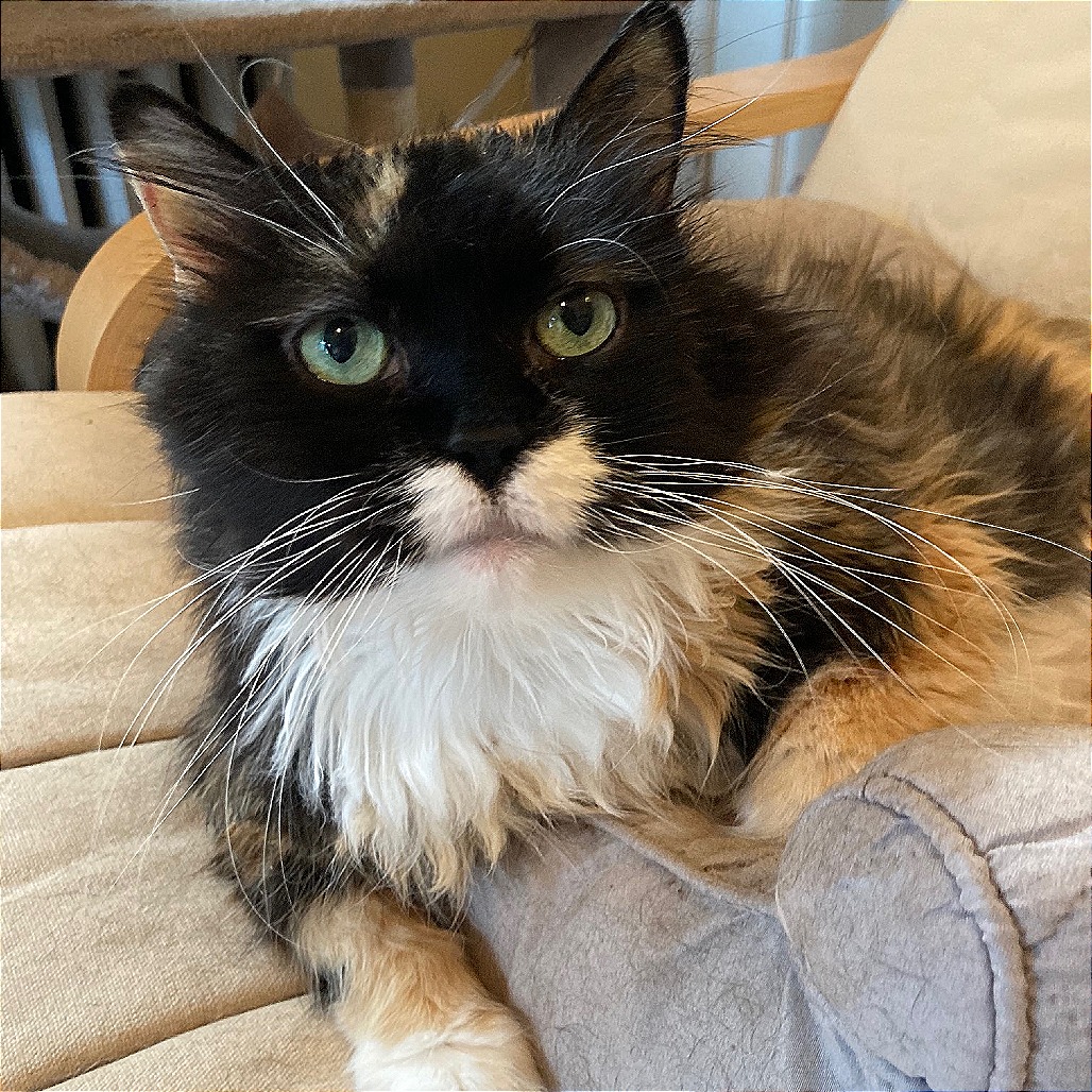 Leah, photo 21