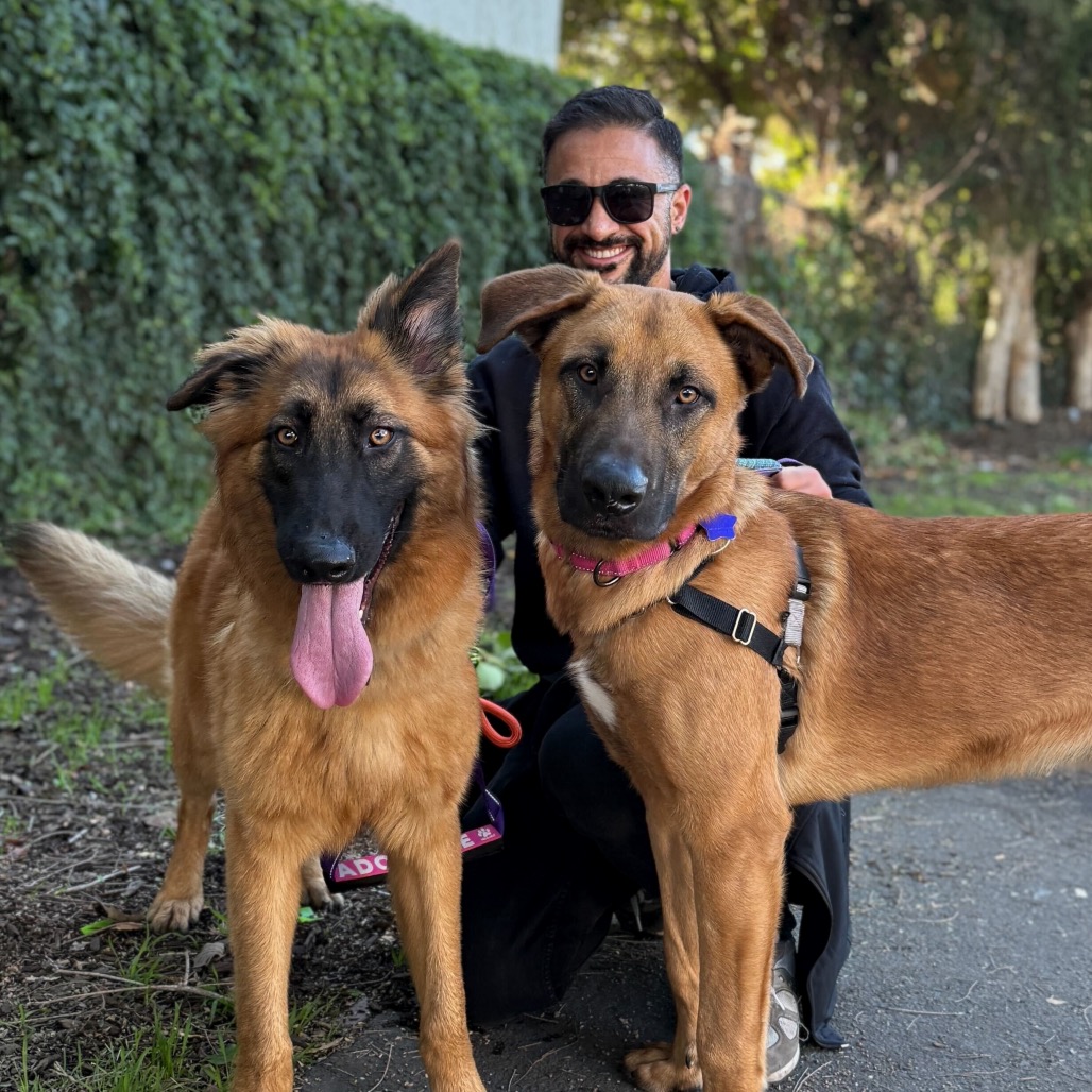 Scooby — thumbnail 3