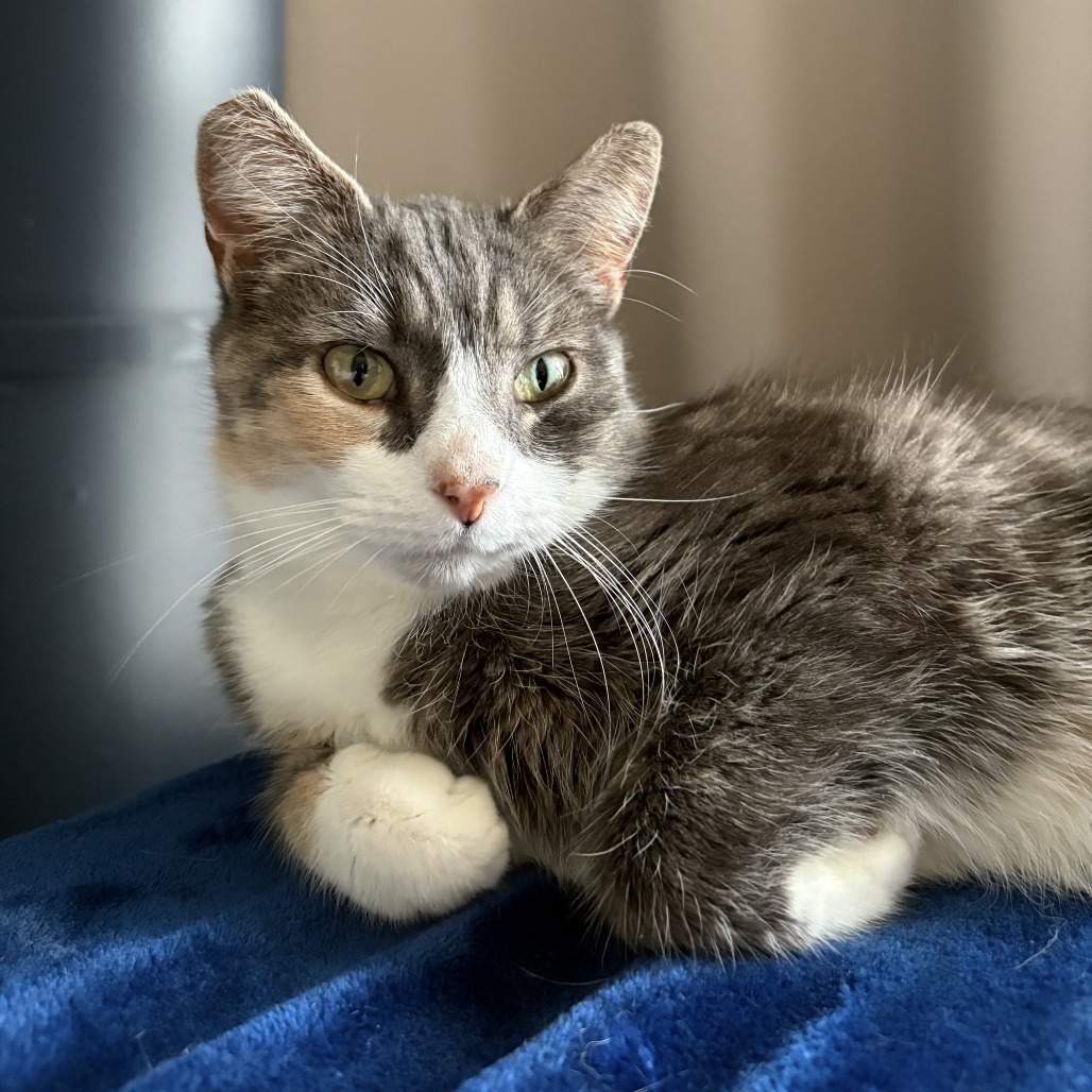 Margaret — thumbnail 4