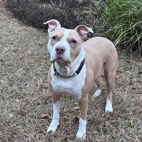 Lloyd, photo 3