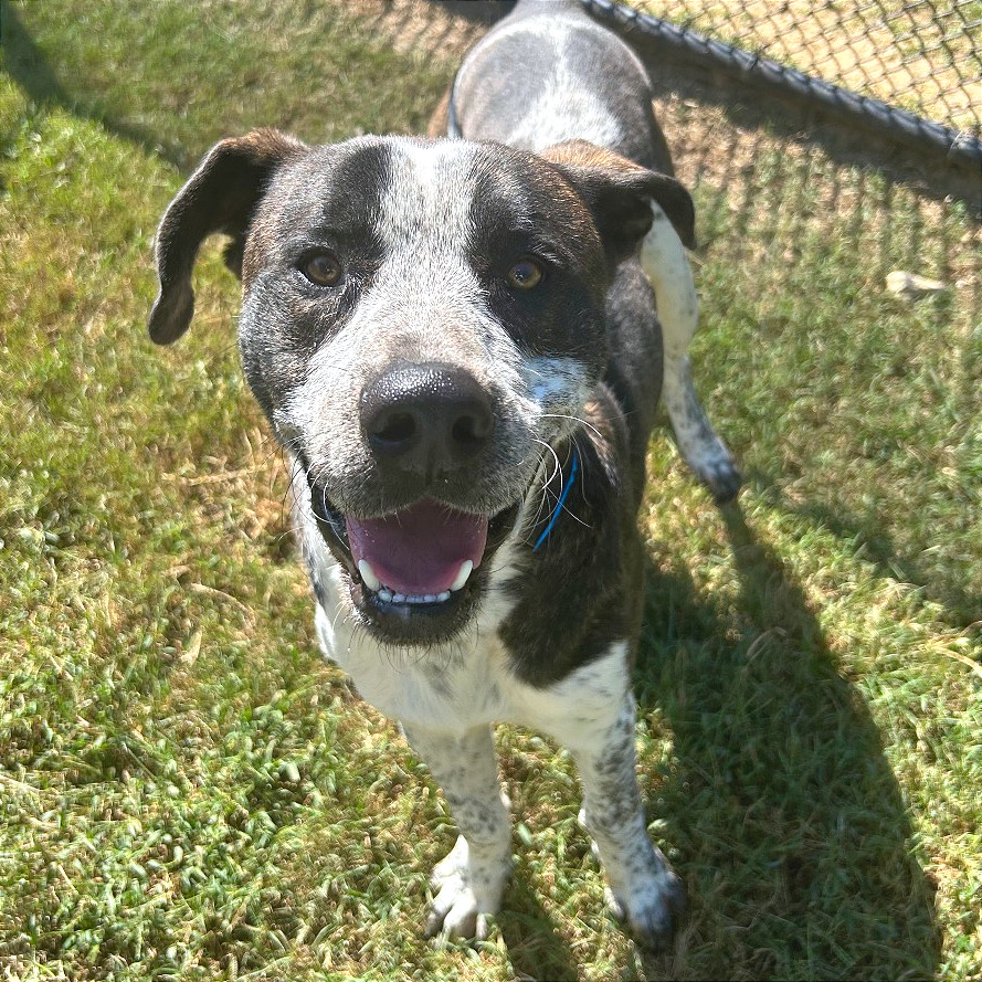 Marco — thumbnail 7